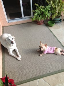 Sun bathing with Nelly