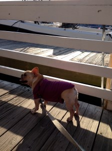 hey, where's my beer?